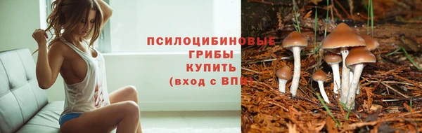 хмурый Заволжск