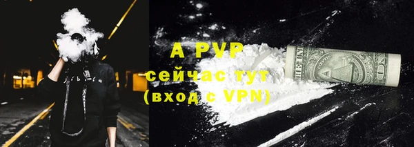 гашик Заволжье