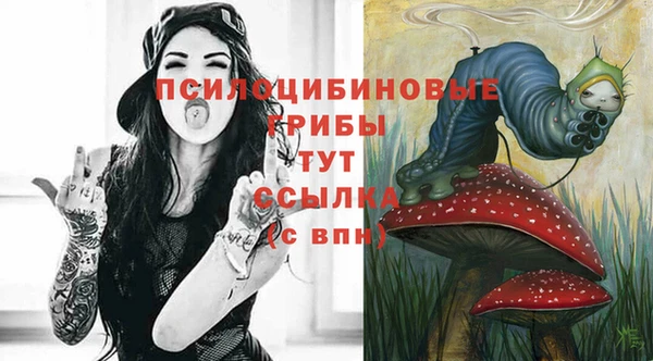 гашик Заволжье